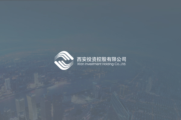 西安投资控股网站建设案例